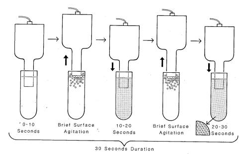 Figure 1 Sonication Process